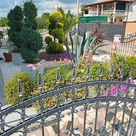 Apartment Katja Porec